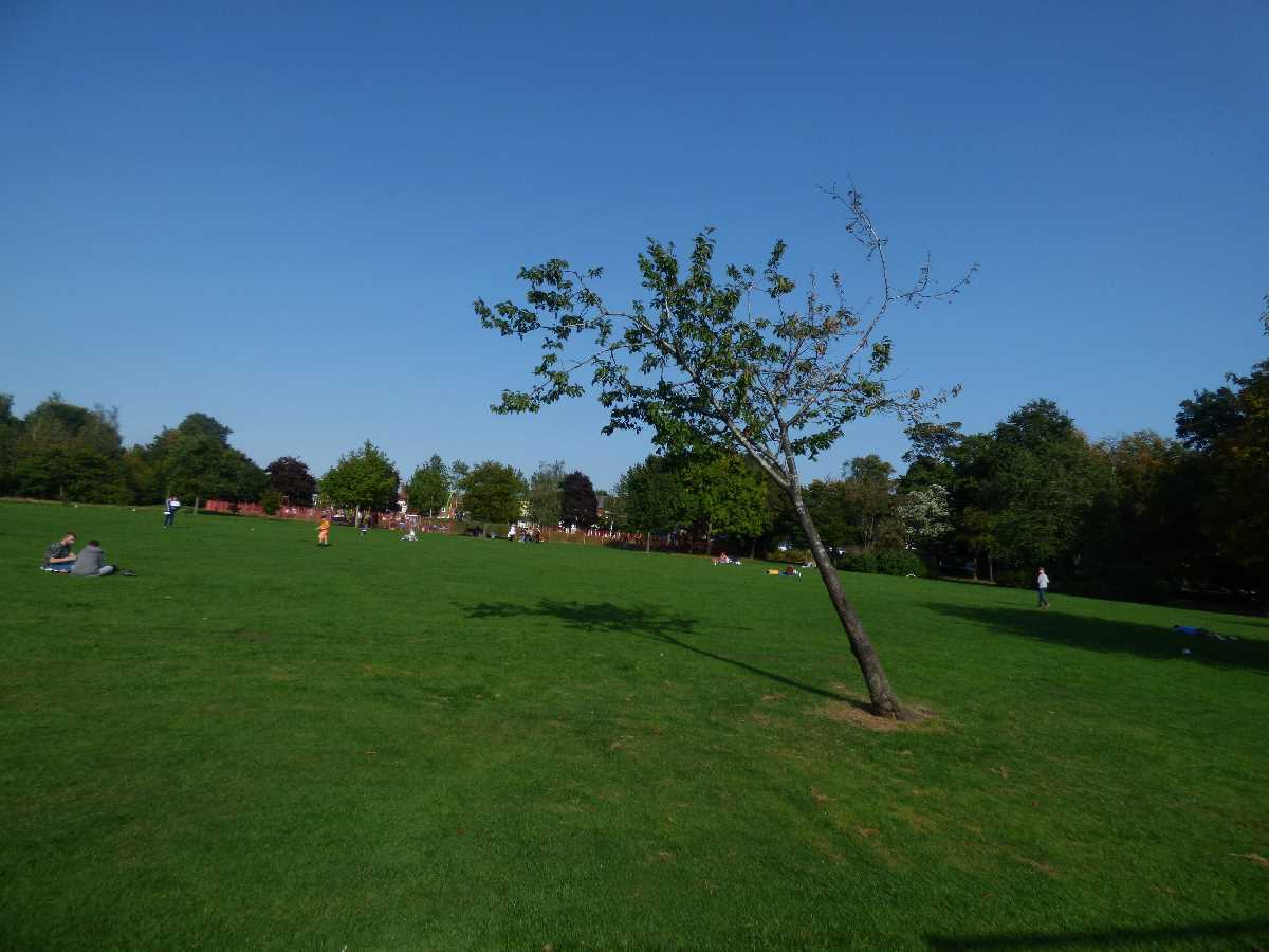 An Indian Summer in Kings Heath Park during September 2020